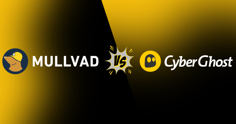 Mullvad vs CyberGhost