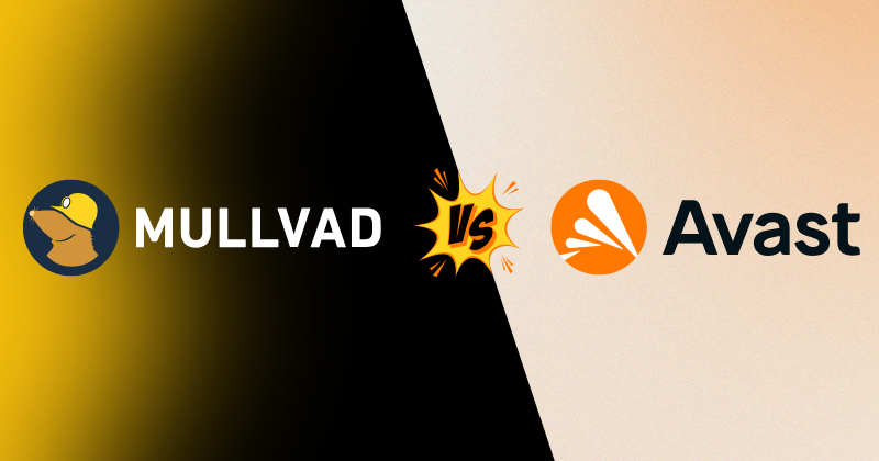 Mullvad vs Avast VPN