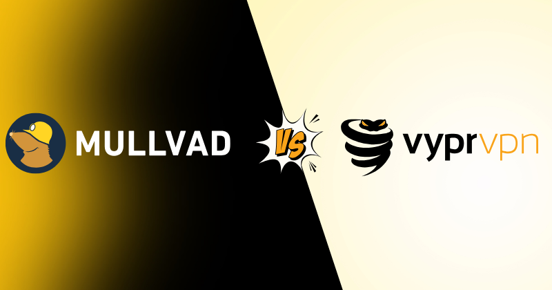 Mullvad vs VyprVPN