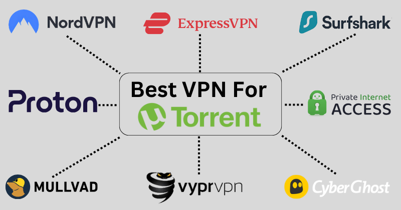 best vpn for torrent