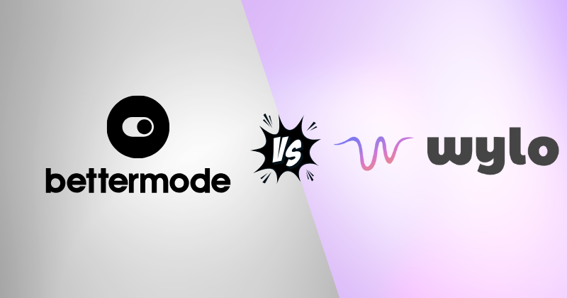 Bettermode vs Wylo