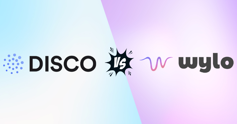 Disco vs Wylo