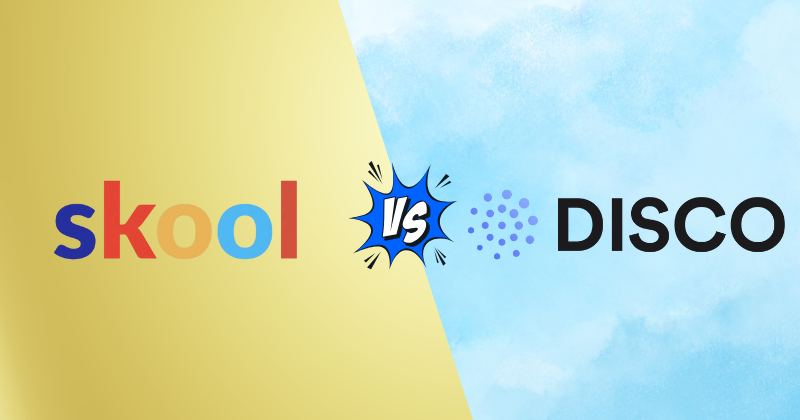 skool vs disco‍