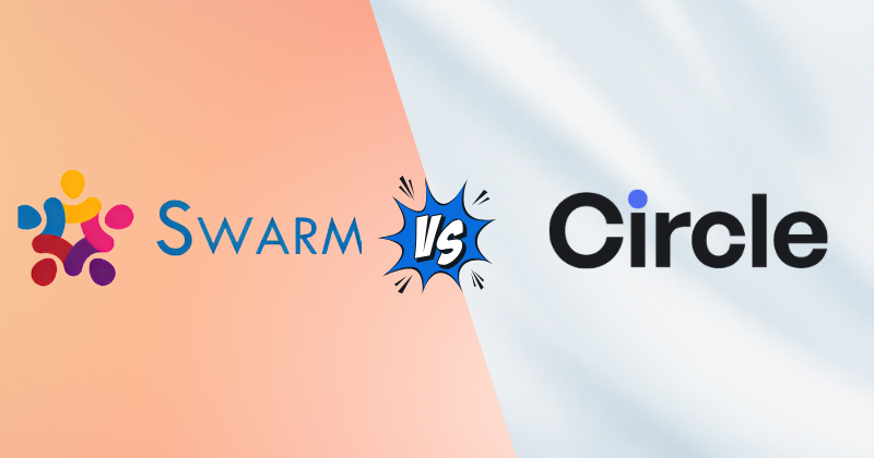 swarm vs circle‍‍