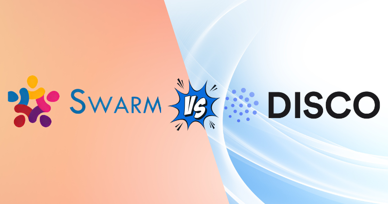 swarm vs disco‍