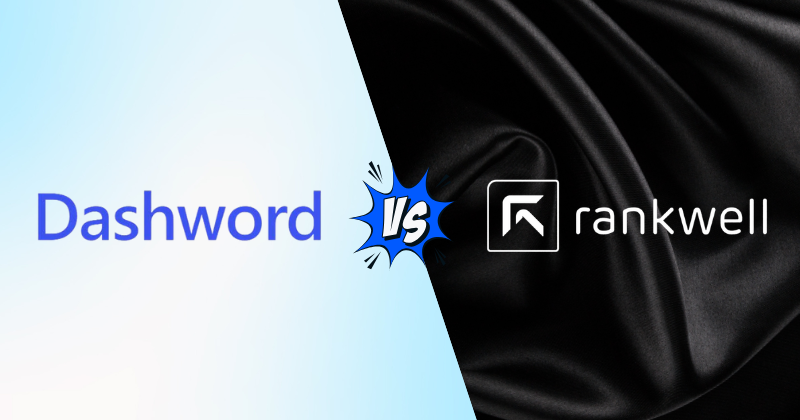 dashword vs rankwell