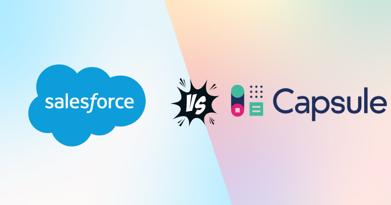 salesforce vs capsule crm