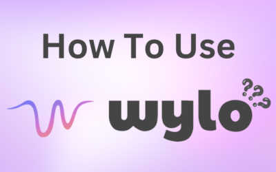 How to Use Wylo: A Step-By-Step Guideline in 2025