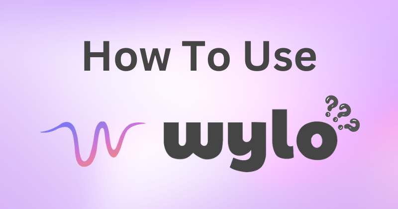 How to Use Wylo