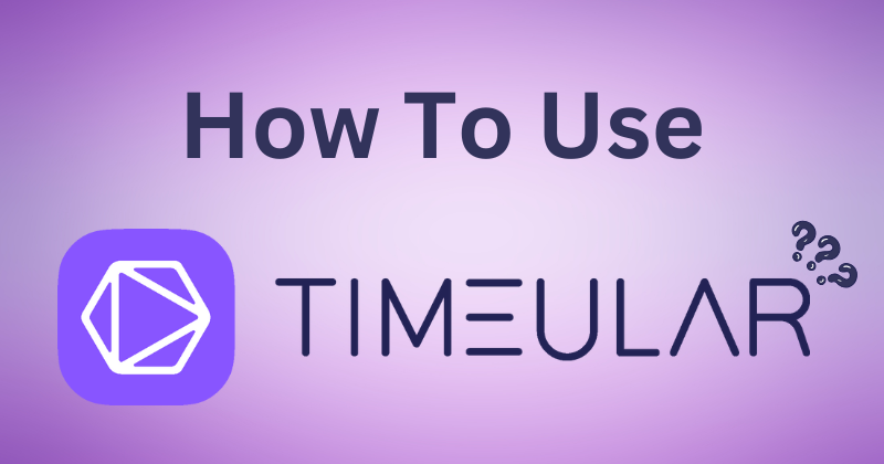 How to Use Timeular