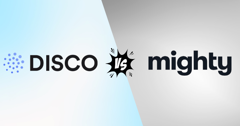 Disco vs MightyNetworks