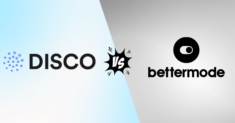 Disco vs Bettermode