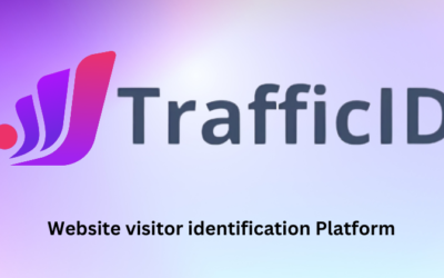 TrafficID Review: Track Your Website Visitors in 2025?