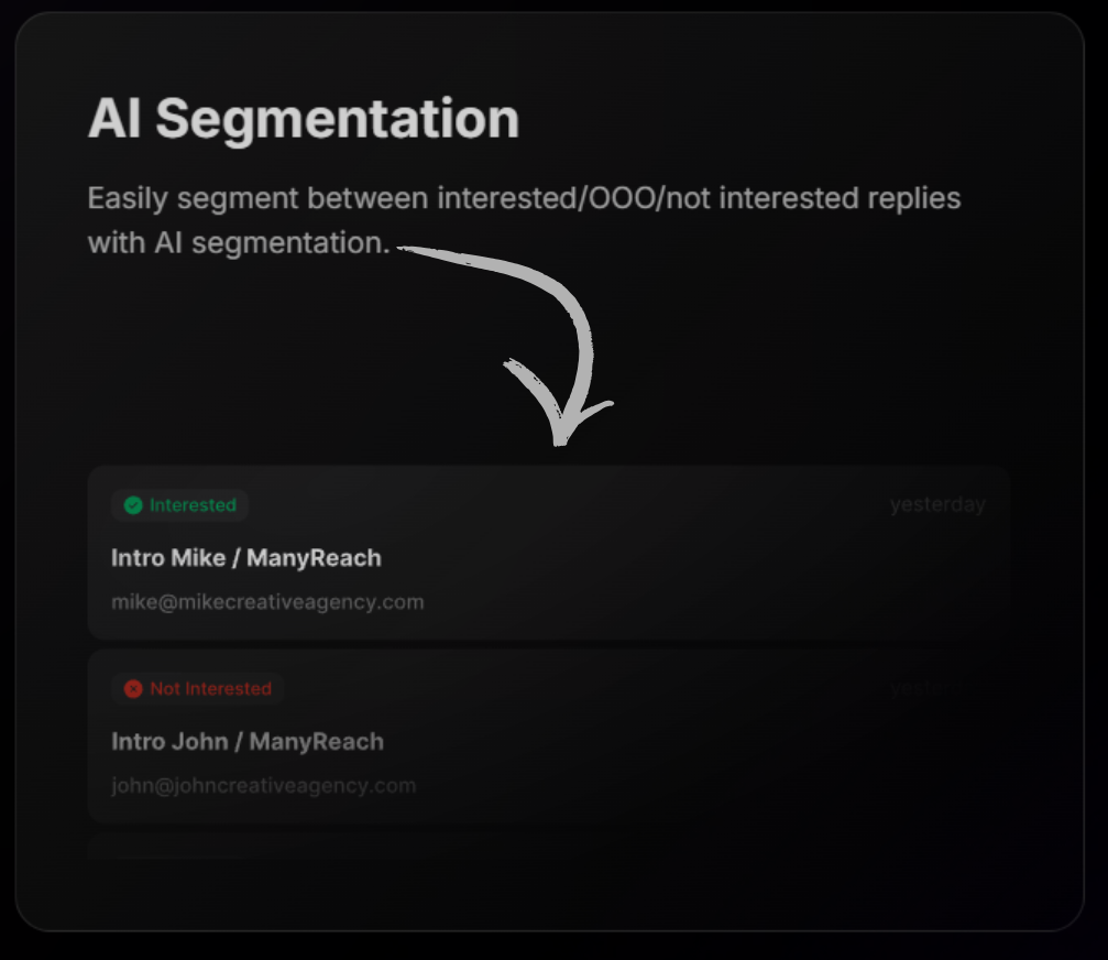 manyreach ai segmentations