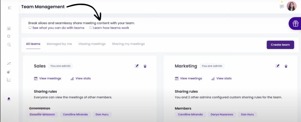 MeetGeek Team Management Image
