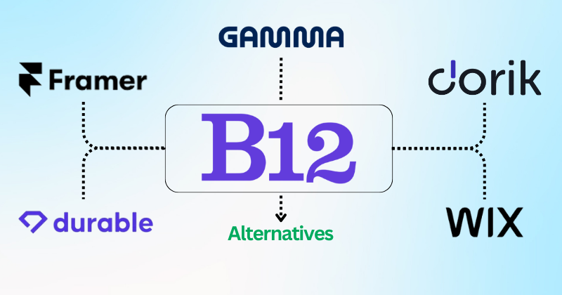 11 Best B12 Alternatives: Find Your Perfect Fit in 2025? 4 B12 Alternatives