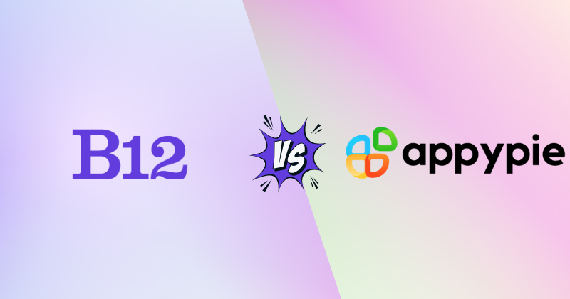 B12 vs Appy Pie