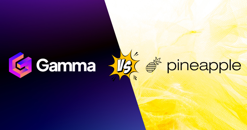 gamma vs pineapple builder