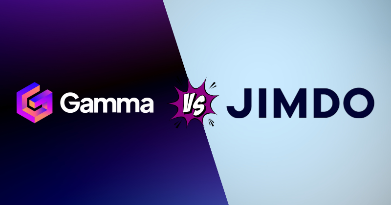 gamma vs jimdo