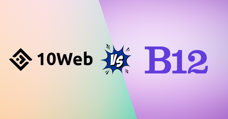 10web vs b12