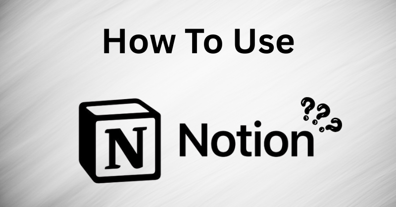 How to Use Notion