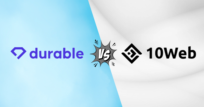 durable vs 10web