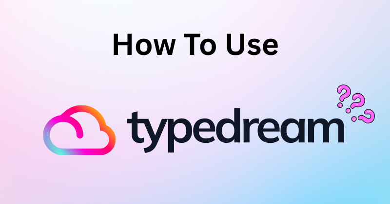 How to Use Typedream