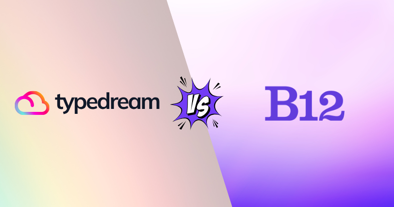 Typedream vs B12