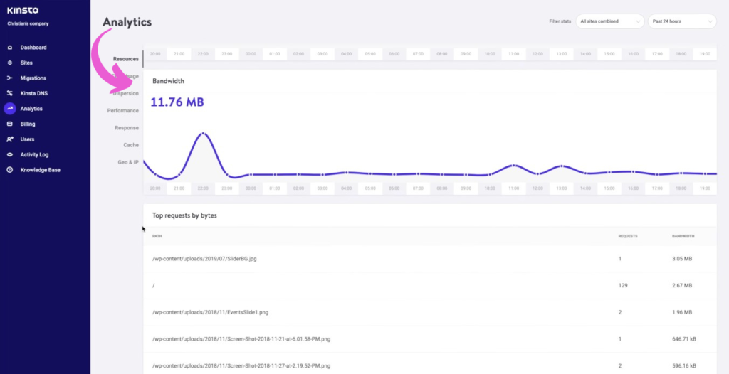 Kinsta Instant Analytics