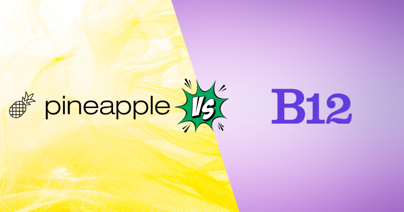 Pineapple Builder vs B12