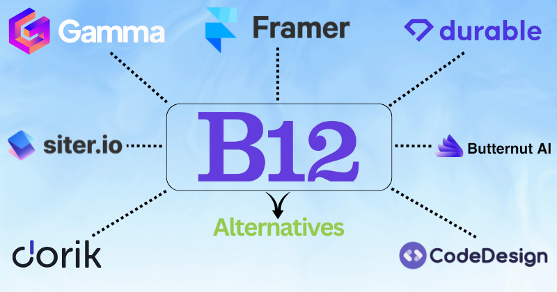 b12 alternatives