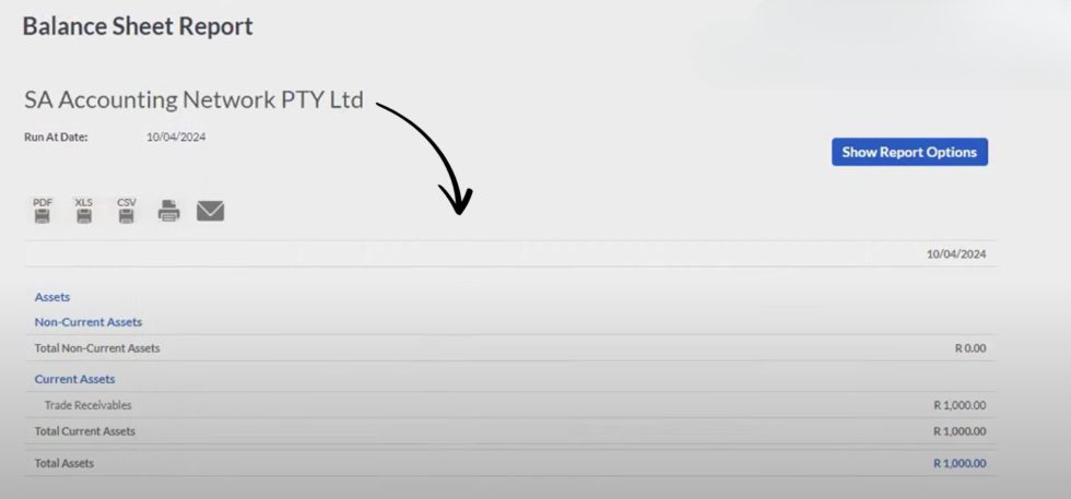 Balance Sheet Report