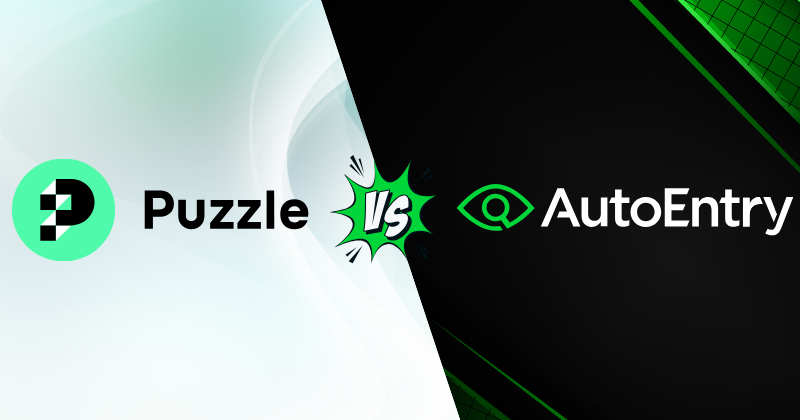 Puzzle IO vs AutoEntry