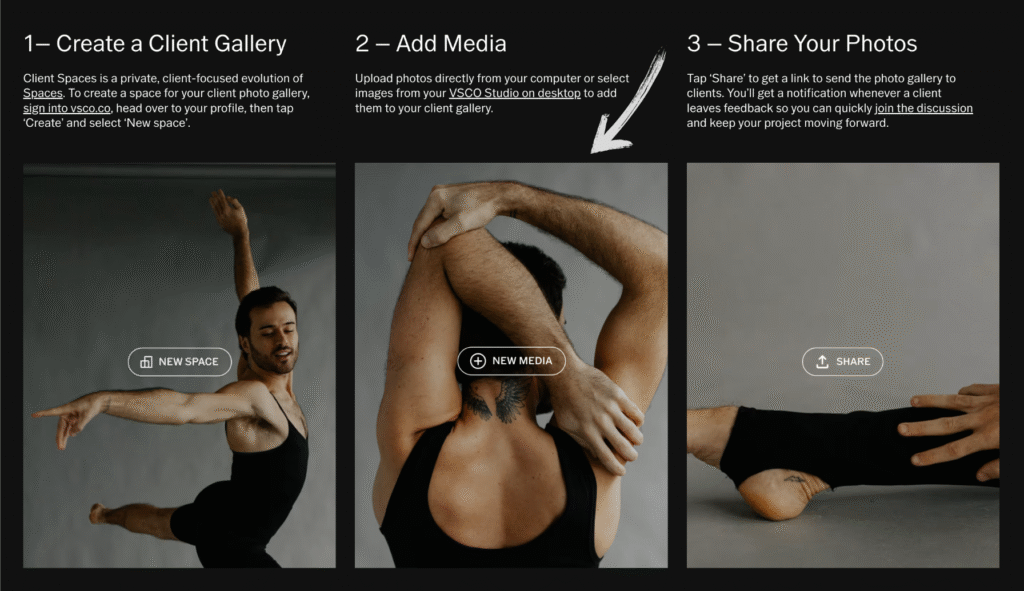 vsco Client Galleries