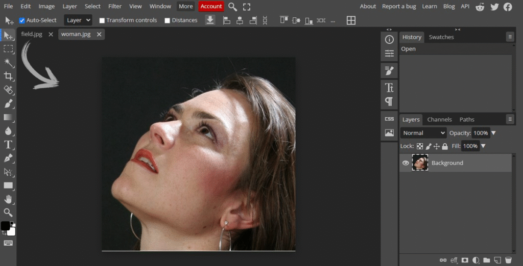 Photopea Online Photo Editor