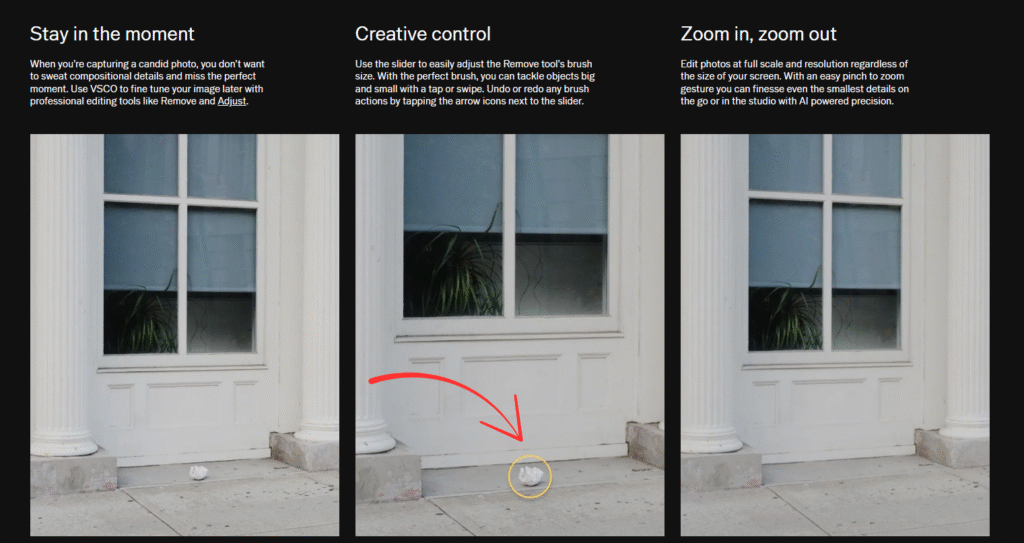 VSCO remove object from the photos