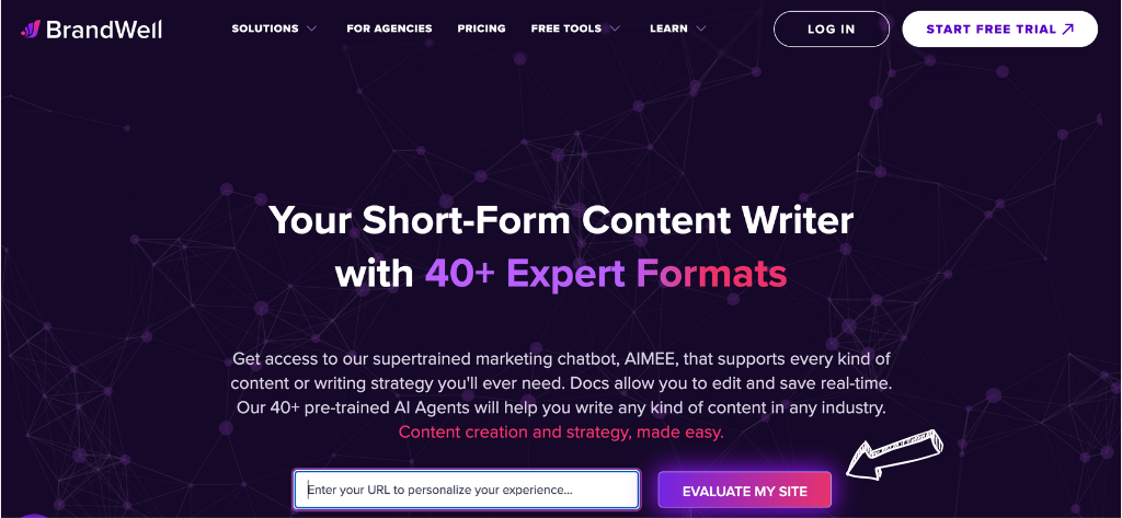 Writewell Review: Boost Your Writing & Rank Higher in 2025 3 writewell homepage