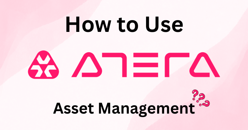 Atera asset management